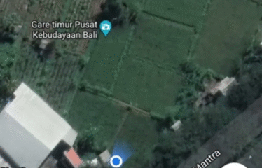 DIJUAL TANAH PINGGIR JALAN BYPASS IB MANTRA , SAMPING PKB