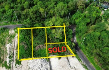 Rare land small plots in center of Ungasan near Pecatu Dreamland