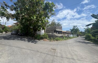 Strategic location mainroad and hook land Balangan Leasehold