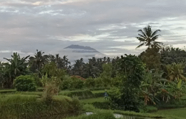 Tanah Ubud Selatan View Gunung dan Sawah