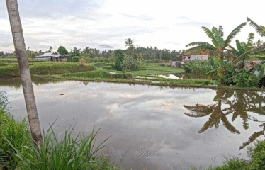 Tanah Ubud Selatan View Gunung dan Sawah