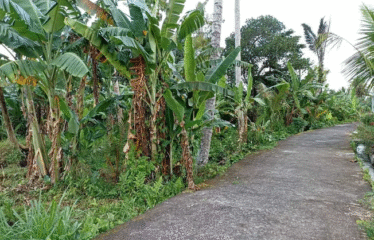 Tanah Ubud Selatan View Gunung dan Sawah