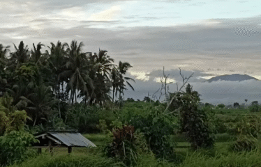 Tanah Ubud Selatan View Gunung dan Sawah
