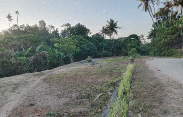 DIJUAL TANAH UNTUK GUDANG LOKASI BYPASS IB MANTRA / KETEWEL-SANUR