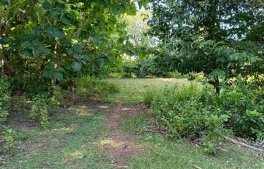 Lahan Area Balangan ITR Kuning Dekat Pantai
