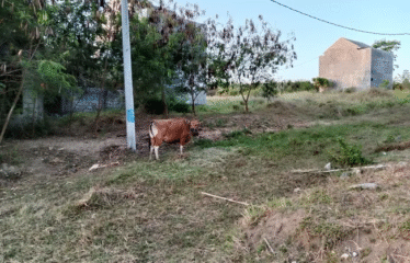 DIJUAL TANAH UNTUK GUDANG LOKASI BYPASS IB MANTRA / KETEWEL-SANUR