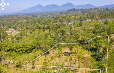 Dijual Tanah Payangan Kerta Untuk Retreat atau Kebun Organik