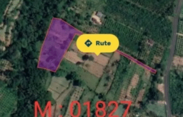 Dijual Tanah Payangan Kerta Untuk Retreat atau Kebun Organik