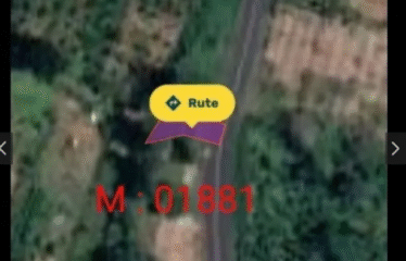 Dijual Tanah Payangan Kerta Untuk Retreat atau Kebun Organik