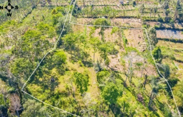 Dijual Tanah Payangan Kerta Untuk Retreat atau Kebun Organik