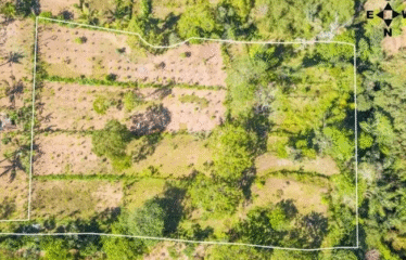Dijual Tanah Payangan Kerta Untuk Retreat atau Kebun Organik