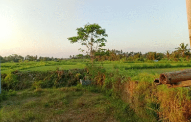 DIJUAL TANAH UNTUK GUDANG LOKASI BYPASS IB MANTRA / KETEWEL-SANUR
