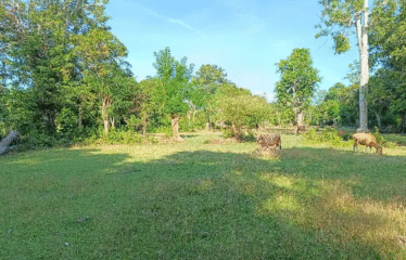 Lahan Area Balangan ITR Kuning Dekat Pantai