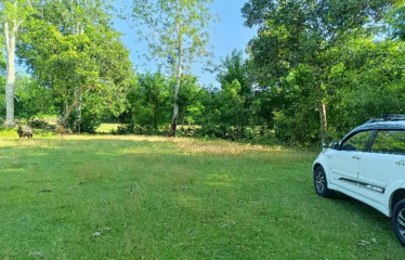 Lahan Area Balangan ITR Kuning Dekat Pantai